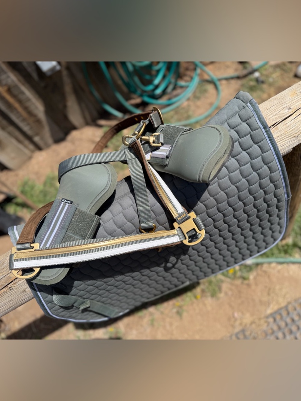 Olive green set of equestrian jumper tack